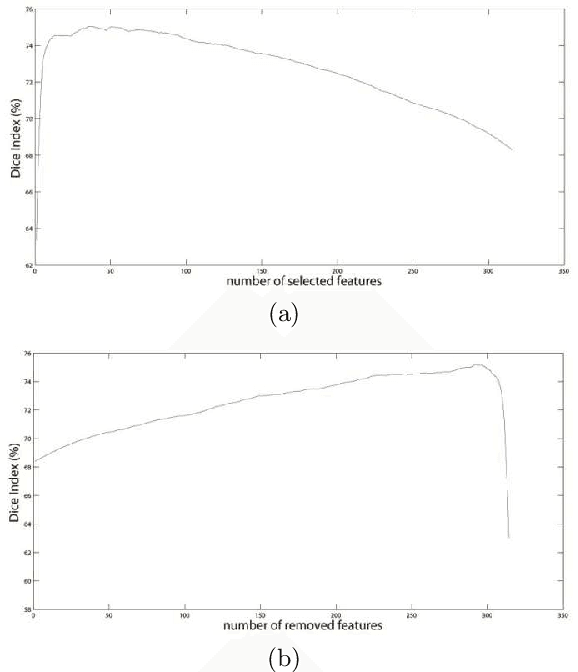 Figure 2 for Feature Selection based on Machine Learning in MRIs for Hippocampal Segmentation