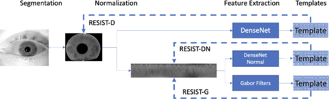 Figure 1 for Resist : Reconstruction of irises from templates
