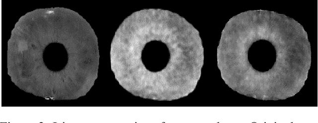Figure 3 for Resist : Reconstruction of irises from templates