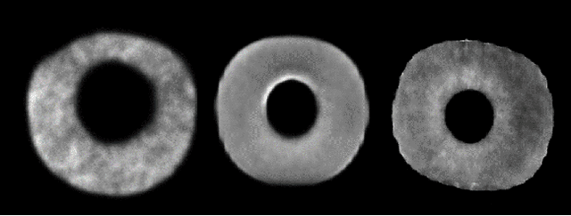 Figure 4 for Resist : Reconstruction of irises from templates