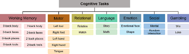 Figure 3 for Transfer learning to decode brain states reflecting the relationship between cognitive tasks