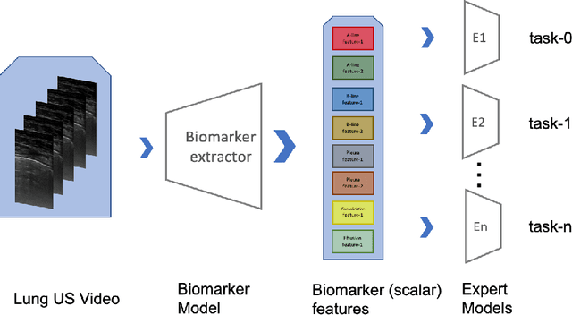 Figure 1 for Learning Generic Lung Ultrasound Biomarkers for Decoupling Feature Extraction from Downstream Tasks