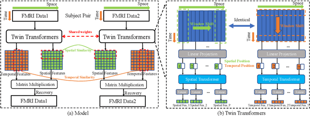 Figure 1 for Disentangling Spatial-Temporal Functional Brain Networks via Twin-Transformers
