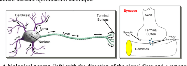 Figure 1 for 1D Convolutional Neural Networks and Applications: A Survey