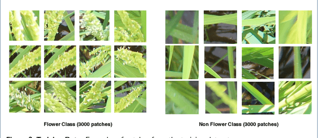 Figure 4 for Automatic estimation of heading date of paddy rice using deep learning
