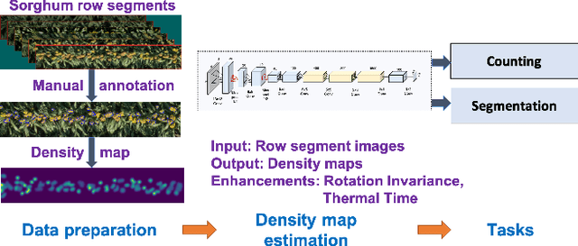 Figure 1 for Counting and Segmenting Sorghum Heads