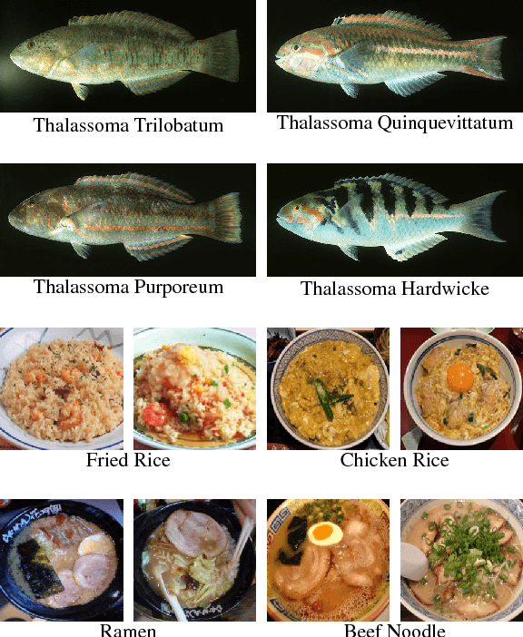 Figure 1 for Modelling Local Deep Convolutional Neural Network Features to Improve Fine-Grained Image Classification