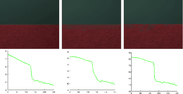 Figure 4 for Geometric Scene Refocusing