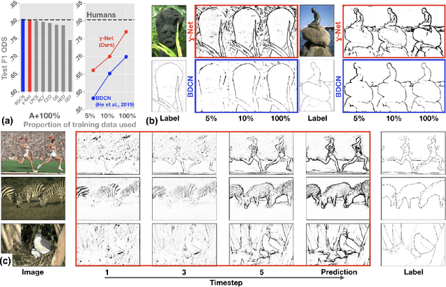 Figure 2 for Recurrent neural circuits for contour detection