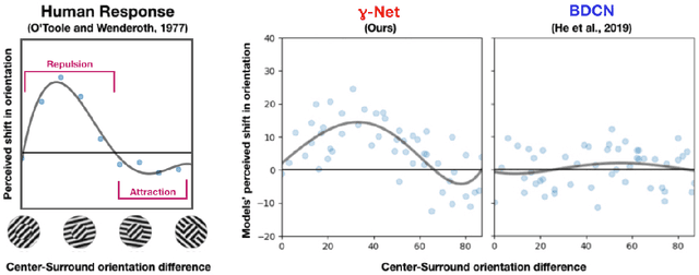 Figure 4 for Recurrent neural circuits for contour detection