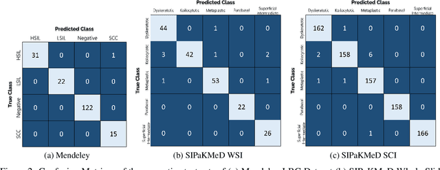 Figure 3 for Ensemble of CNN classifiers using Sugeno Fuzzy Integral Technique for Cervical Cytology Image Classification
