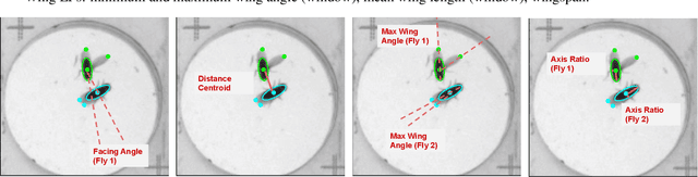 Figure 2 for Automatic Synthesis of Diverse Weak Supervision Sources for Behavior Analysis