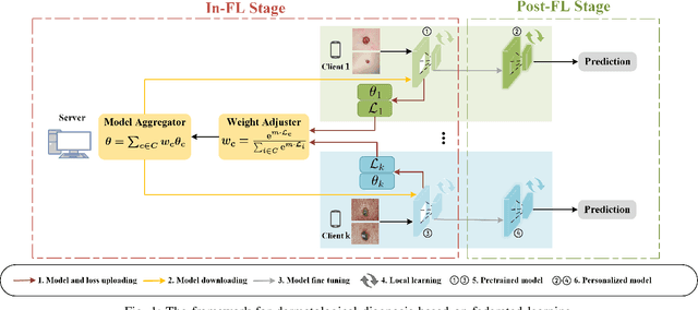 Figure 1 for Achieving Fairness in Dermatological Disease Diagnosis through Automatic Weight Adjusting Federated Learning and Personalization