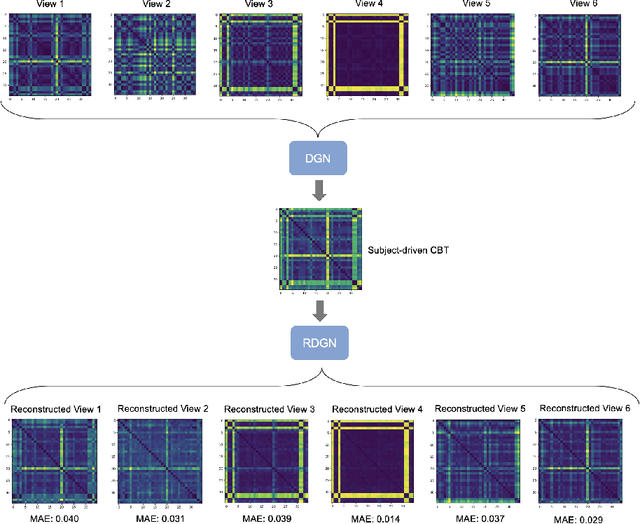 Figure 3 for Predicting Brain Multigraph Population From a Single Graph Template for Boosting One-Shot Classification