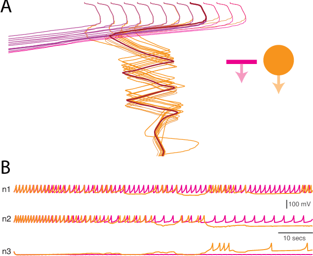 Figure 4 for Evolution and Analysis of Embodied Spiking Neural Networks Reveals Task-Specific Clusters of Effective Networks