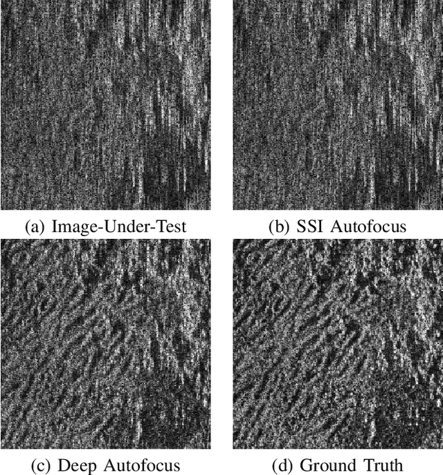 Figure 4 for Real-Time, Deep Synthetic Aperture Sonar (SAS) Autofocus