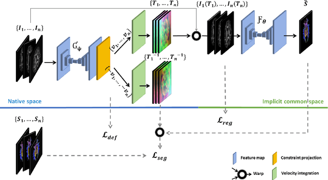 Figure 1 for Learning unbiased registration and joint segmentation: evaluation on longitudinal diffusion MRI
