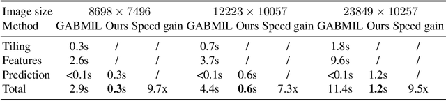 Figure 4 for Gigapixel Whole-Slide Images Classification using Locally Supervised Learning
