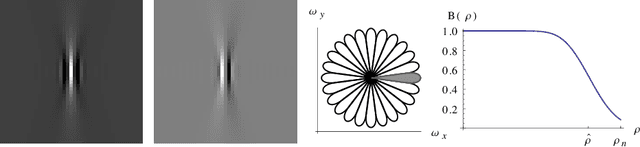 Figure 2 for Vesselness via Multiple Scale Orientation Scores