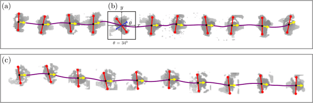Figure 2 for Pedestrian orientation dynamics from high-fidelity measurements