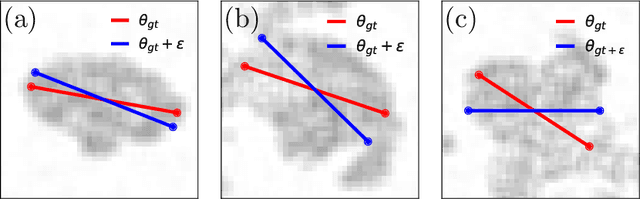 Figure 3 for Pedestrian orientation dynamics from high-fidelity measurements