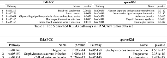 Figure 2 for Fast and Interpretable Consensus Clustering via Minipatch Learning