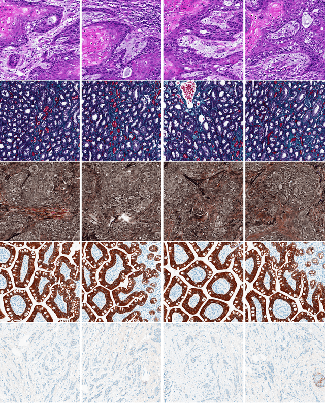 Figure 4 for Colored Kimia Path24 Dataset: Configurations and Benchmarks with Deep Embeddings
