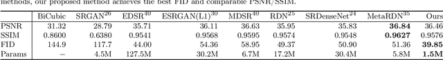 Figure 2 for MIASSR: An Approach for Medical Image Arbitrary Scale Super-Resolution