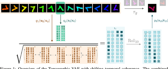 Figure 1 for Topographic VAEs learn Equivariant Capsules
