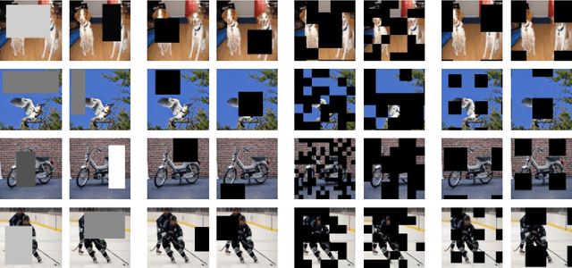 Figure 1 for Survey: Image Mixing and Deleting for Data Augmentation