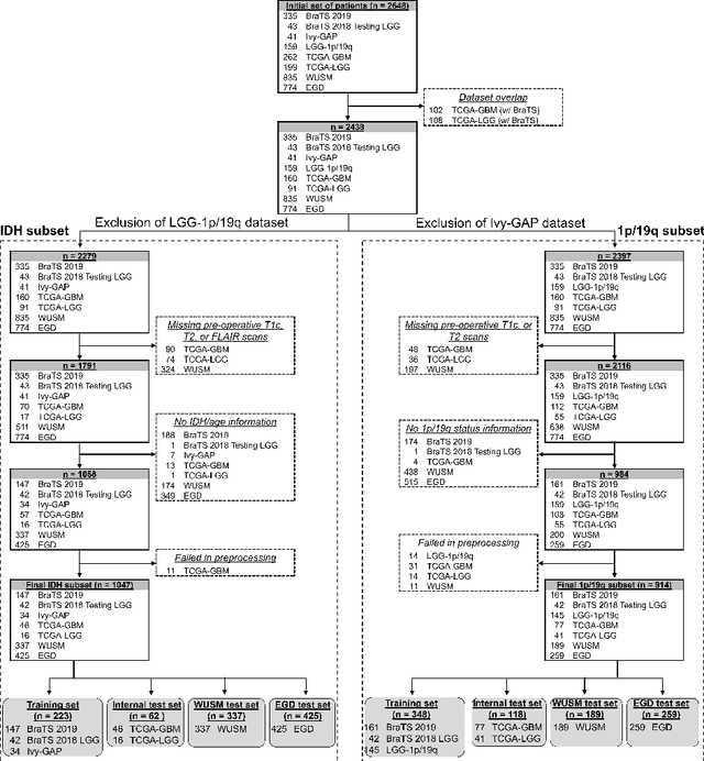 Figure 1 for MRI-based classification of IDH mutation and 1p/19q codeletion status of gliomas using a 2.5D hybrid multi-task convolutional neural network