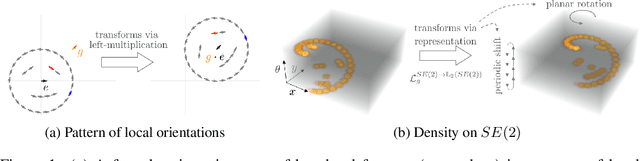 Figure 1 for B-Spline CNNs on Lie Groups