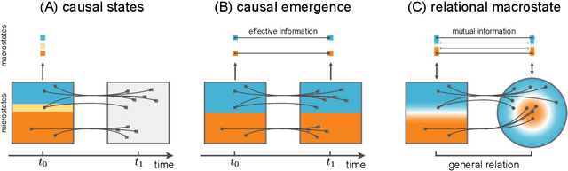Figure 1 for A Relational Macrostate Theory Guides Artificial Intelligence to Learn Macro and Design Micro