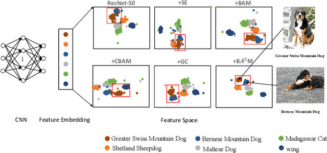 Figure 1 for BA^2M: A Batch Aware Attention Module for Image Classification