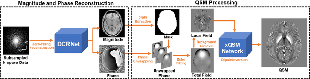 Figure 1 for Accelerating Quantitative Susceptibility Mapping using Compressed Sensing and Deep Neural Network