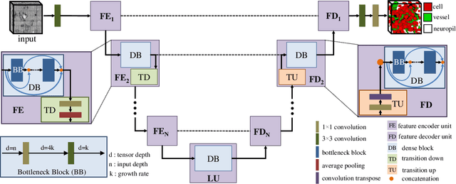 Figure 3 for DVNet: A Memory-Efficient Three-Dimensional CNN for Large-Scale Neurovascular Reconstruction