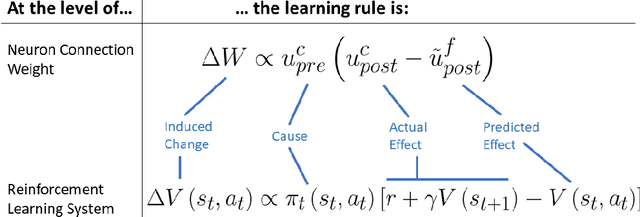 Figure 1 for Reinforcement Learning with Brain-Inspired Modulation can Improve Adaptation to Environmental Changes