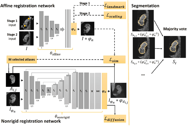 Figure 1 for Multi-Atlas Segmentation and Spatial Alignment of the Human Embryo in First Trimester 3D Ultrasound