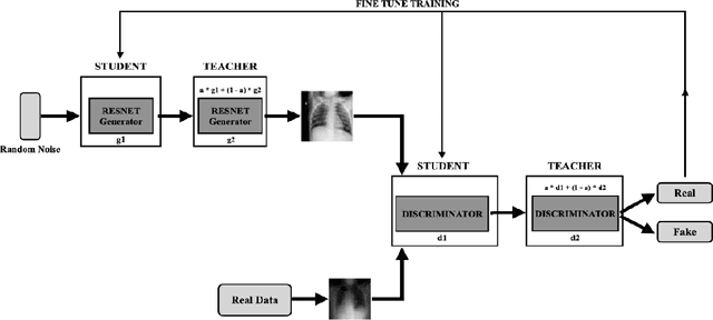 Figure 4 for Generating Realistic COVID19 X-rays with a Mean Teacher + Transfer Learning GAN