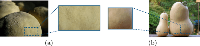 Figure 4 for Label Refinery: Improving ImageNet Classification through Label Progression