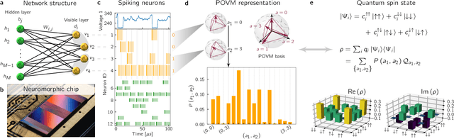 Figure 1 for Spiking neuromorphic chip learns entangled quantum states