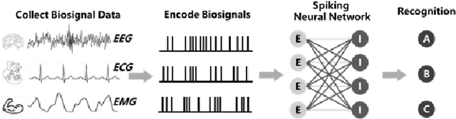 Figure 1 for A Compact Online-Learning Spiking Neuromorphic Biosignal Processor