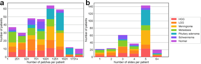 Figure 3 for OpenSRH: optimizing brain tumor surgery using intraoperative stimulated Raman histology