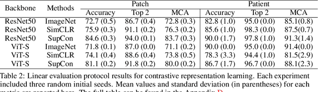 Figure 4 for OpenSRH: optimizing brain tumor surgery using intraoperative stimulated Raman histology