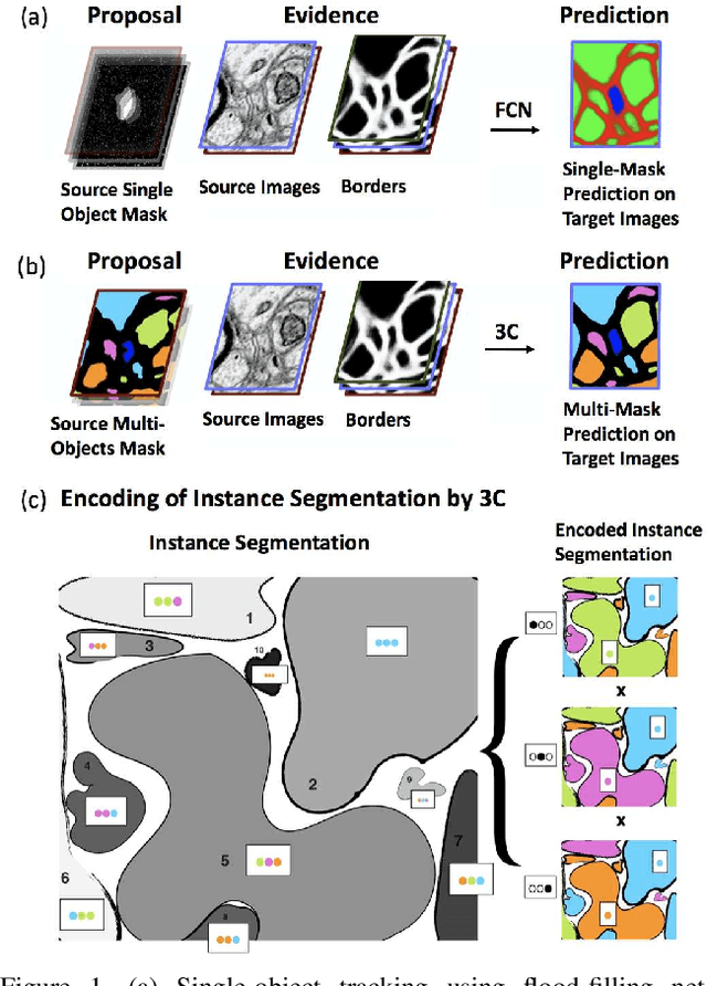 Figure 1 for Cross-Classification Clustering: An Efficient Multi-Object Tracking Technique for 3-D Instance Segmentation in Connectomics