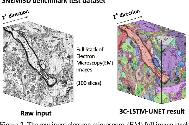 Figure 3 for Cross-Classification Clustering: An Efficient Multi-Object Tracking Technique for 3-D Instance Segmentation in Connectomics