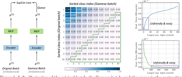 Figure 1 for Rebalanced Siamese Contrastive Mining for Long-Tailed Recognition