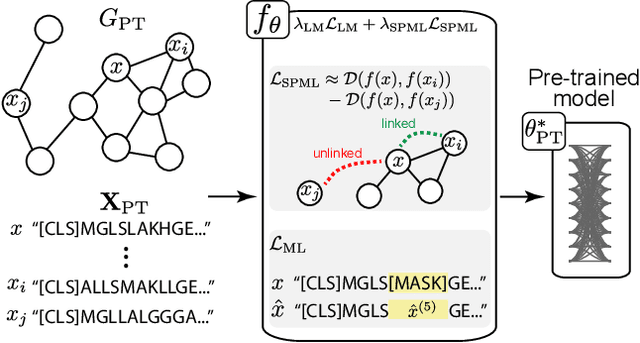Figure 3 for Rethinking Relational Encoding in Language Model: Pre-Training for General Sequences