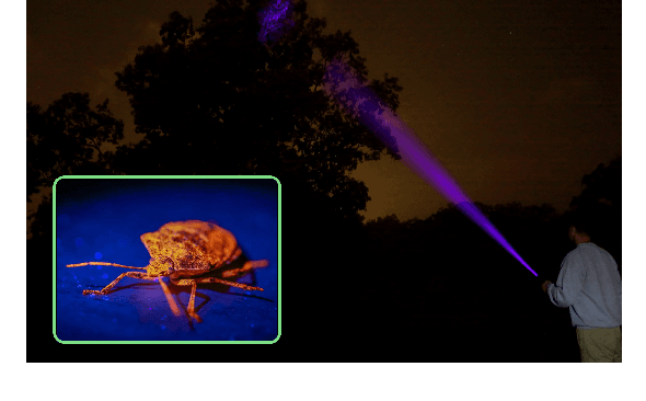 Figure 1 for Detecting Invasive Insects with Unmanned Aerial Vehicles