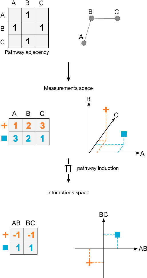 Figure 2 for PIMKL: Pathway Induced Multiple Kernel Learning
